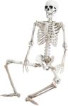 36" Movable Halloween Skeleton Decoration for Parties