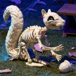 Squirrel Skeleton Halloween Decoration with Movable Joints
