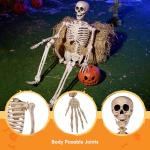 5 FT Poseable Life-Size Halloween Skeleton Decor