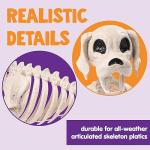 Posable Halloween Dog Skeleton with Movable Joints
