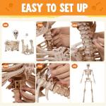 5.6 FT Realistic Posable Halloween Skeleton Decor