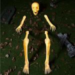 5 Piece LED Life Size Skeleton Yard Stakes