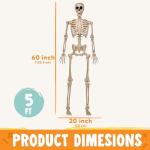 5 FT Poseable Life-Size Halloween Skeleton Decor