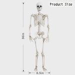 36" Movable Halloween Skeleton Decoration for Parties
