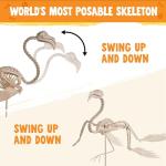 Flamingo Skeleton Halloween Decoration - 27.6 Inch Tall