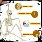 6 Pack Posable Skeletons for Halloween Decor
