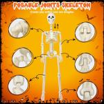36" Posable Skeleton Set with Dog and Cat