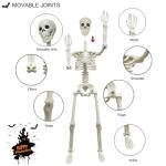 2-Pack 36" Realistic Skeleton Halloween Decorations