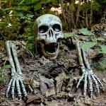 3 Pack Realistic Skeleton Yard Stakes for Halloween