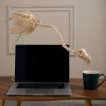 Flamingo Skeleton Halloween Decoration - 27.6 Inch Tall