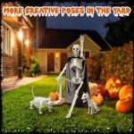 36" Posable Skeleton Set with Dog and Cat