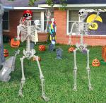 5 Ft Life-Size Movable Skeleton Halloween Decoration
