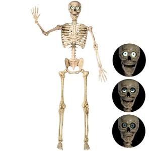 Life-Size Posable Halloween Skeleton with Moving Features