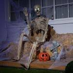 Life-Size Posable Halloween Skeleton with Moving Features