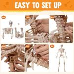 Life-Size Posable Halloween Skeleton with Moving Features