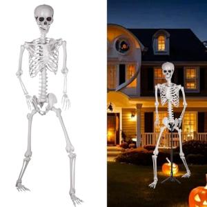 Realistic 7.9ft Skeleton with Posable Joints