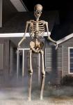 8FT Animated Yard Skeleton with Motion Sensor Lights