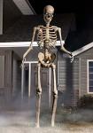 8FT Animated Yard Skeleton with Motion Sensor Lights