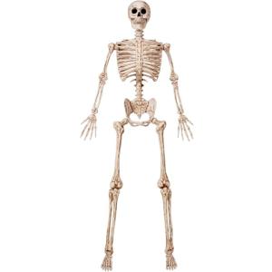 6.9 FT Life Size Posable Halloween Skeleton Prop