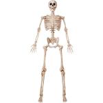 6.9 FT Life Size Posable Halloween Skeleton Prop