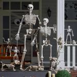 6.9 FT Life Size Posable Halloween Skeleton Prop