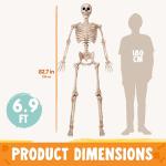 6.9 FT Life Size Posable Halloween Skeleton Prop