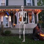 Posable 7.8ft Giant Skeleton for Halloween Decor