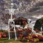 Giant 7.9ft Posable Life Size Skeleton Decoration