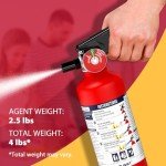 Compact Dry Powder Fire Extinguisher for Vehicles