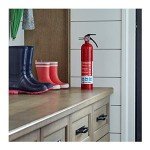 First Alert Rechargeable Home Fire Extinguisher, UL Rated