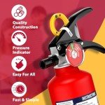 Compact Dry Powder Fire Extinguisher for Vehicles
