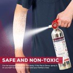 Ougist Portable Fire Extinguisher Set for Vehicles