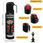 Compact Vehicle Fire Extinguisher 2 Pack