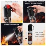 Compact Vehicle Fire Extinguisher 2 Pack