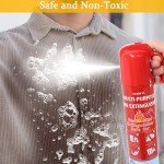 Compact Vehicle Fire Extinguisher 2 Pack