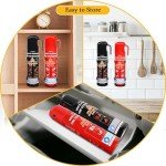 Compact Vehicle Fire Extinguisher 2 Pack