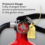 Kidde Fire Extinguisher with Hose & Wall Mount
