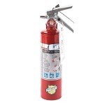 Buckeye 13315 Handheld Fire Extinguisher with Bracket