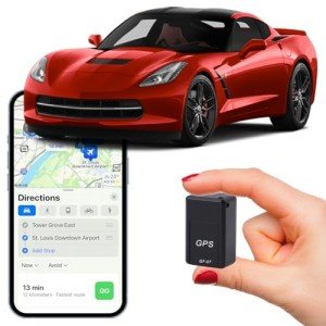 Portable Real-Time GPS Tracker for Vehicles and Pets