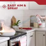 Kidde Flame Out Fire Fighting Spray, 17.6 oz, for Home Use, Kitchens, Dorms, Apartments