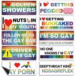Frienda 10 Pcs Bumper Decals Funny LGBT Stickers Rainbow Bumper Prank Car Stickers Colorful Car Accessories for Truck Vehicle Luggage Window Refrigerator(Magnetic,Classic Style)