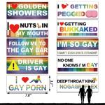Frienda 10 Pcs Bumper Decals Funny LGBT Stickers Rainbow Bumper Prank Car Stickers Colorful Car Accessories for Truck Vehicle Luggage Window Refrigerator(Magnetic,Classic Style)