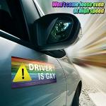 Frienda 10 Pcs Bumper Decals Funny LGBT Stickers Rainbow Bumper Prank Car Stickers Colorful Car Accessories for Truck Vehicle Luggage Window Refrigerator(Magnetic,Classic Style)