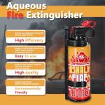 2PCS Mini Fire Extinguishers for Vehicle & Home & Kitchen- Small Portable Car Fire Extinguisher Kit with Brackets - Stay Safe Emergency Suppression for Motorcycle & RV & Kitchen