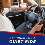 BFGoodrich Advantage Control All-Season Tire for Cars and Crossovers, 205/55R16 91H