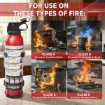 Dry Stop Fire Extinguisher for Home & Vehicle - 600g Dry Chemical Powder Fire Extinguisher | Grease & Electrical Fire Extinguisher for Kitchen, Car, Portable (2-Pack)