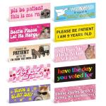 Yoppix 10PCS Funny Car Bumper Magnet, Student Driver Magnet Prank Magnetic Sticker for Car Truck Metal, Hot Girls Hit Curbs New Driver Please Be Patient Waterproof Reusable