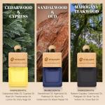 Car Air Freshener Hanging, 3 Pcs Mahogany Teakwood, Sandalwood & Oud, Cedarwood & Cypress, Wooden Scent Air Fresheners Diffuser for Car, 45+ days Long Lasting Fragrance, 0.27 FL OZ/8ML