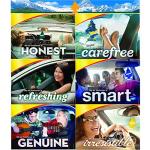 LITTLE TREES Car Air Freshener | Hanging Paper Tree for Home or Car | Cotton Candy | 3 Pack