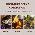 Car Air Freshener - Wood Air Freshener - Car Odor Eliminator for Visor Clip-Variety Scent Refill, Vehicle Scent Diffuser for Cabin, Truck & SUV - Pack of 3 (Teak-Amber-Cabana)-CLIP INCLUDED